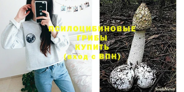 крисы Алексин