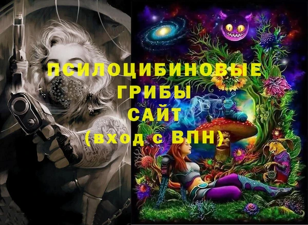 шишки Алексеевка