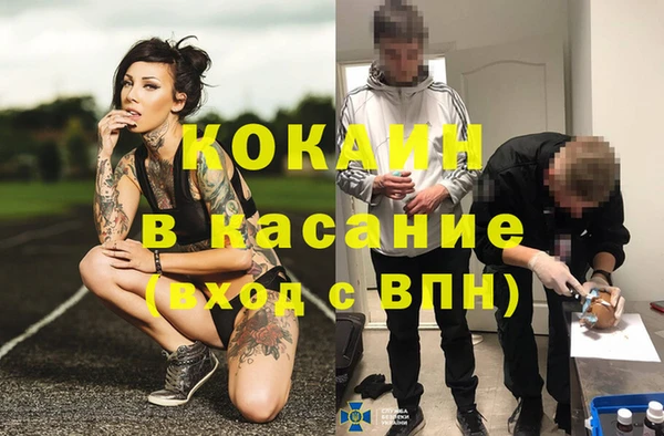 шишки Алексеевка