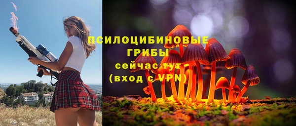 шишки Алексеевка