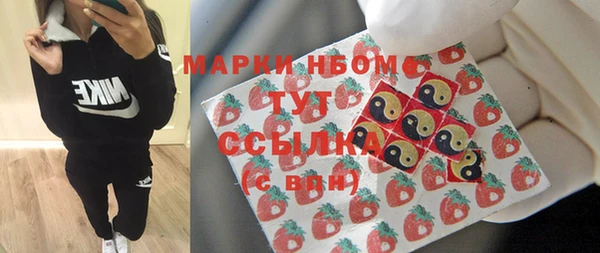 крисы Алексин