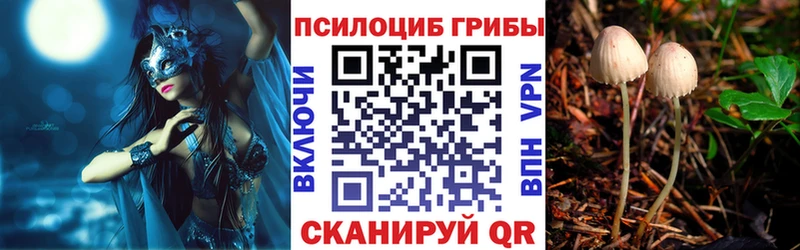 Псилоцибиновые грибы Psilocybe  Безенчук 